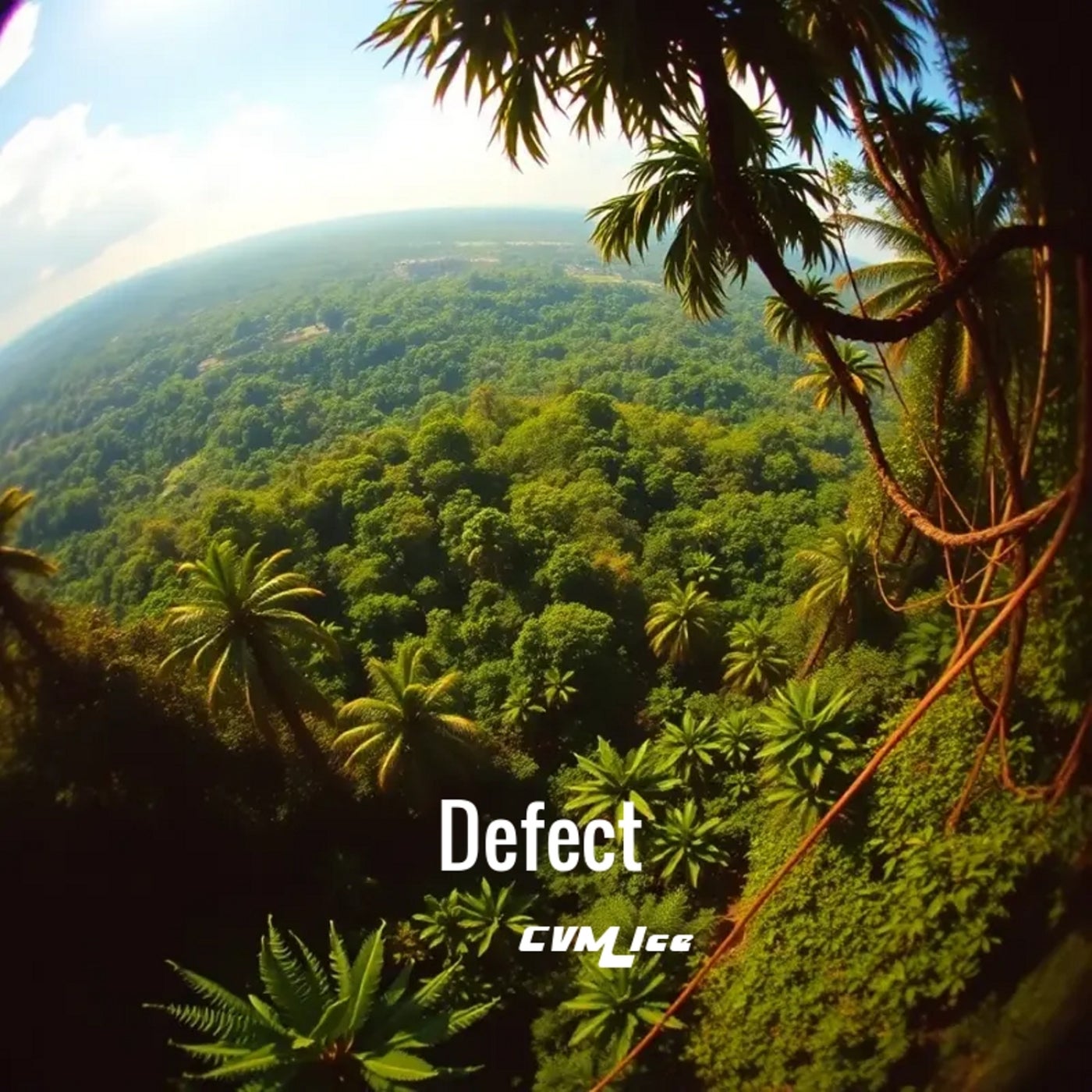 Defect