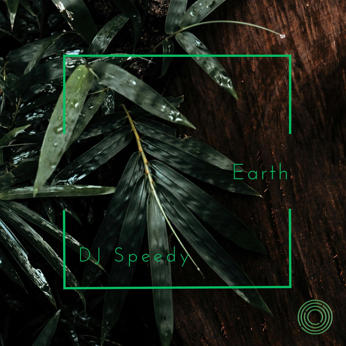 Earth