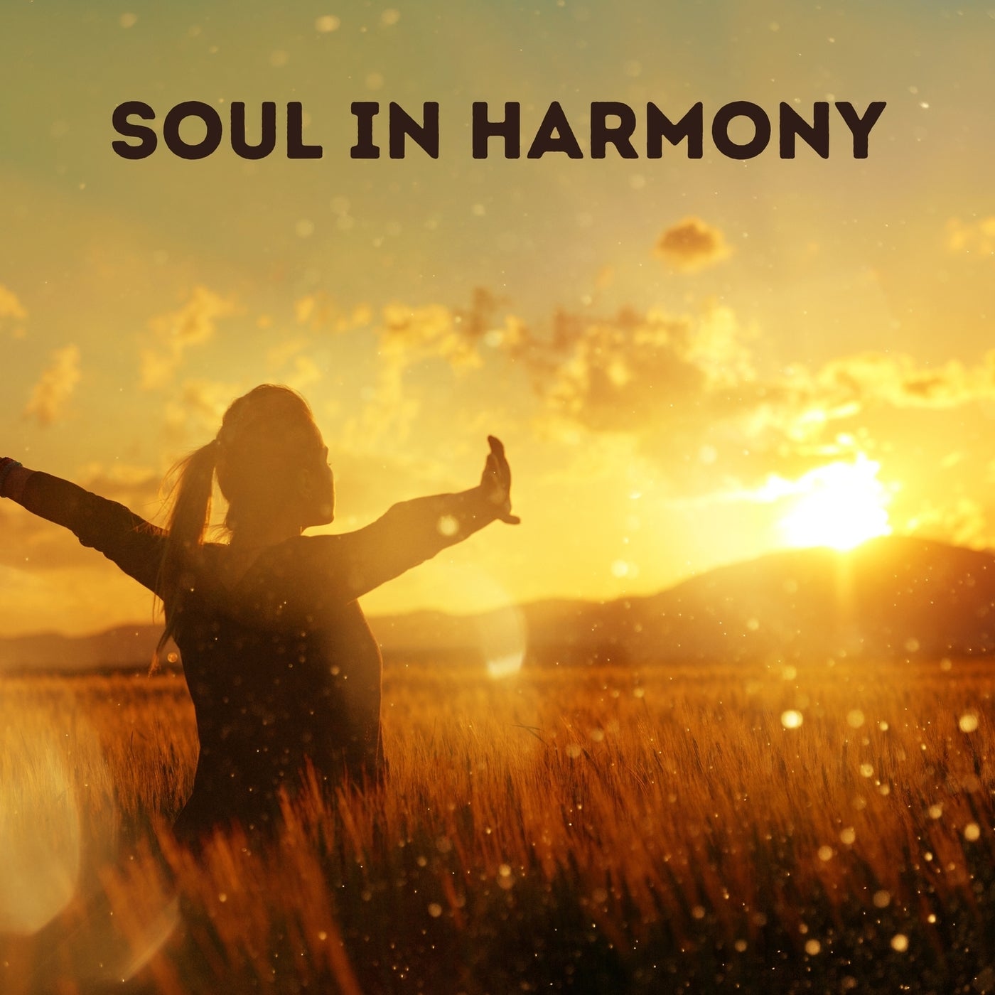 Soul in Harmony