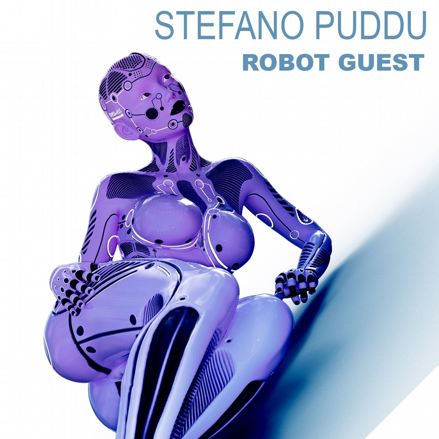 Robot Guest