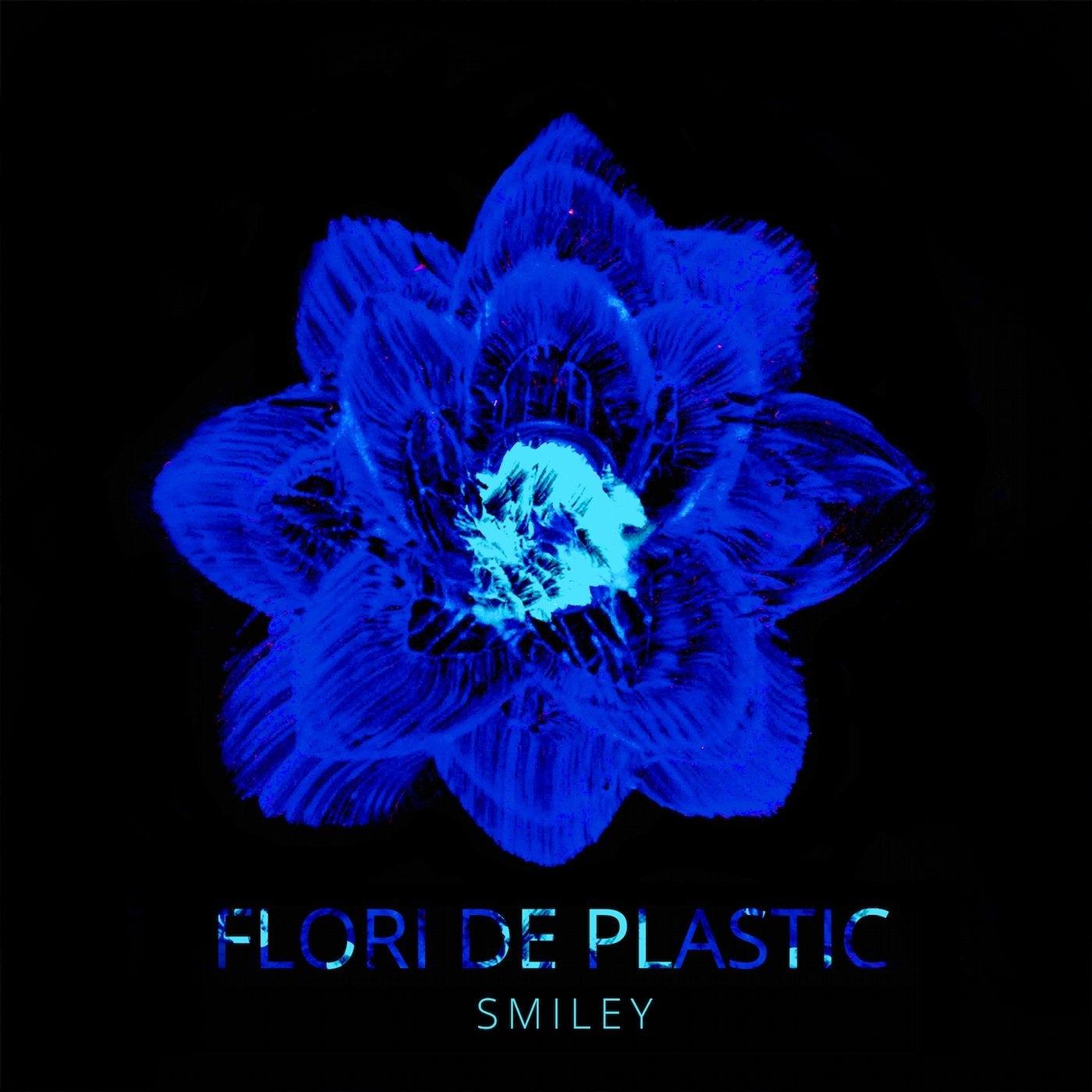 Flori De Plastic