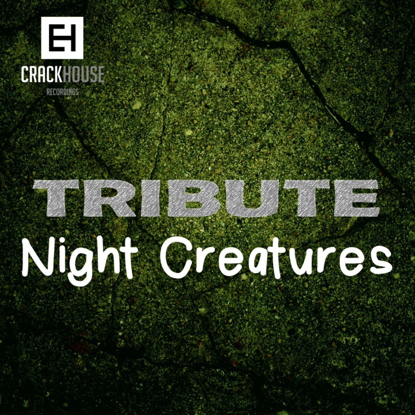 Tribute To Night Creatures