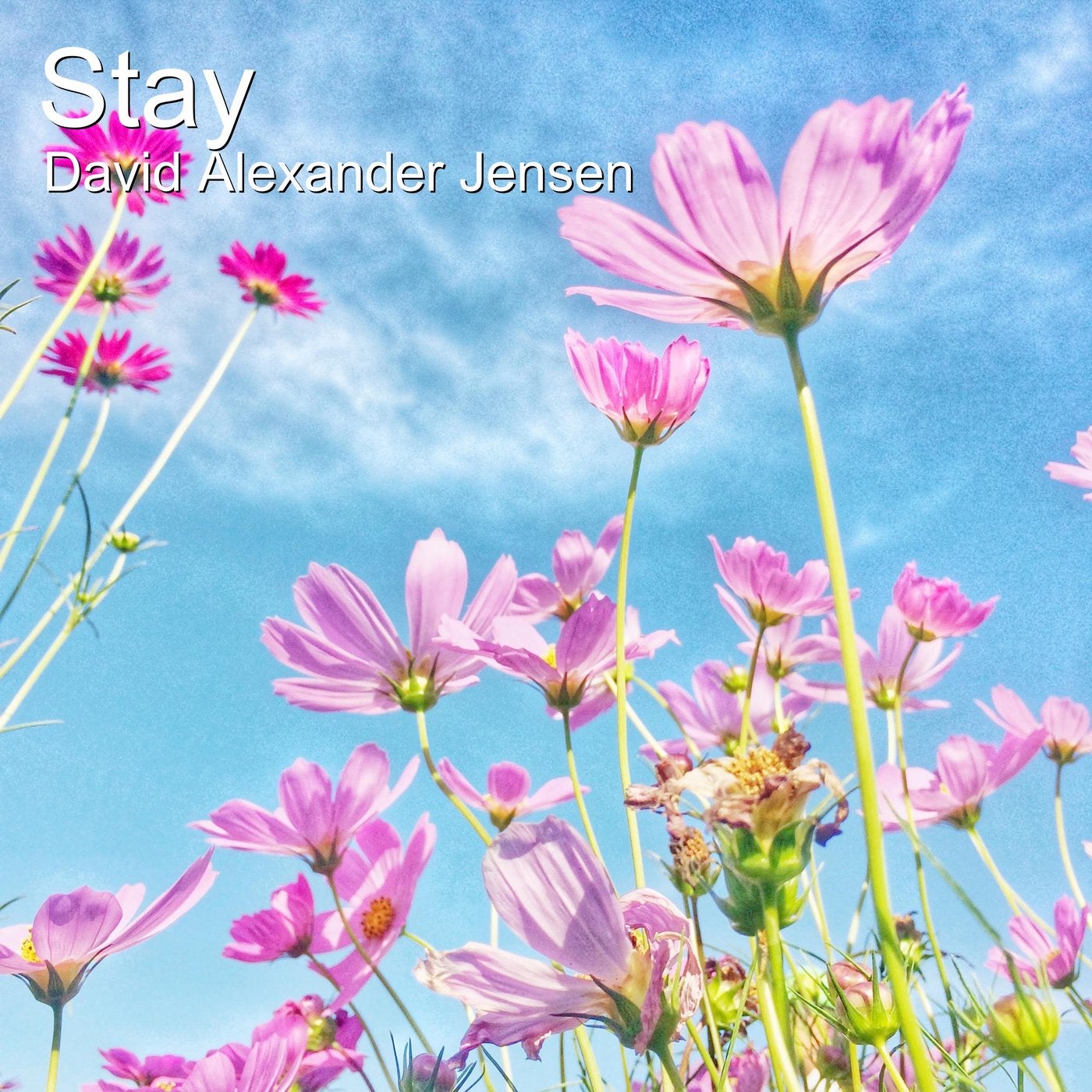 Stay