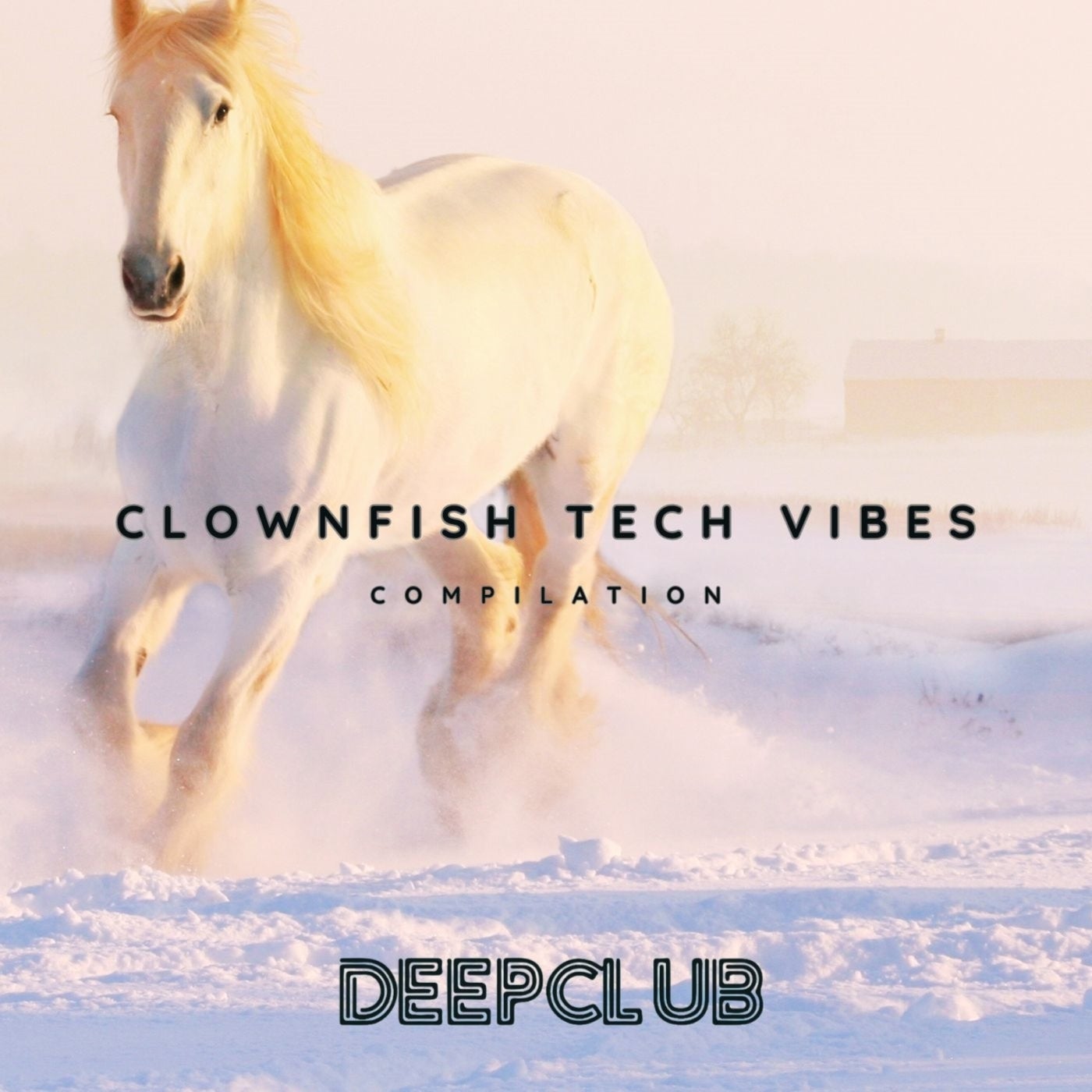 Clownfish Tech Vibes