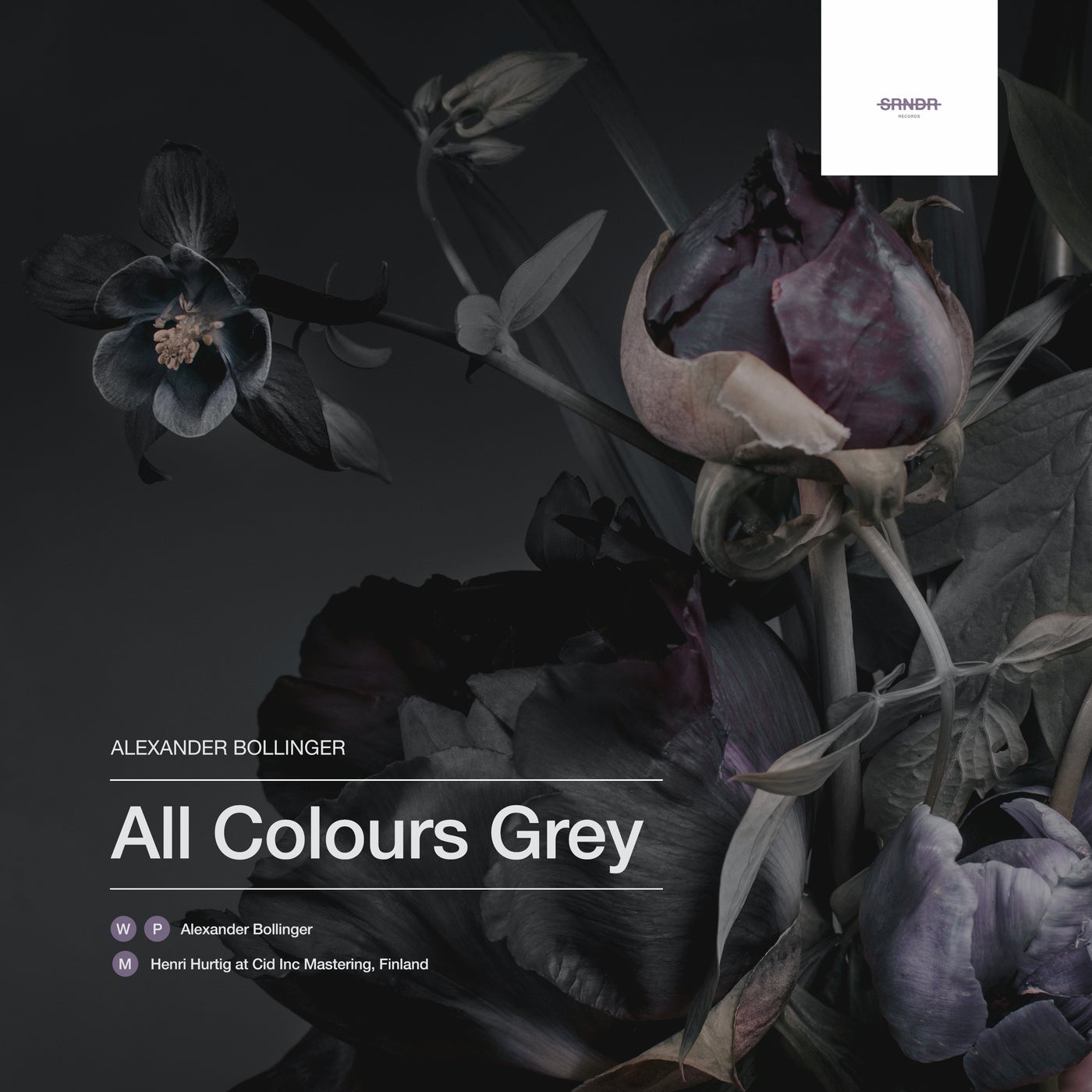 All Colours Grey