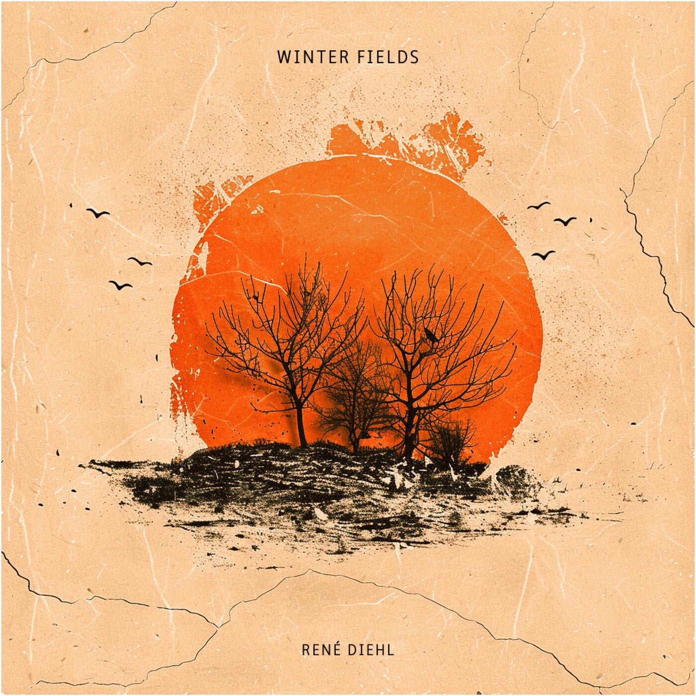 Winter Fields