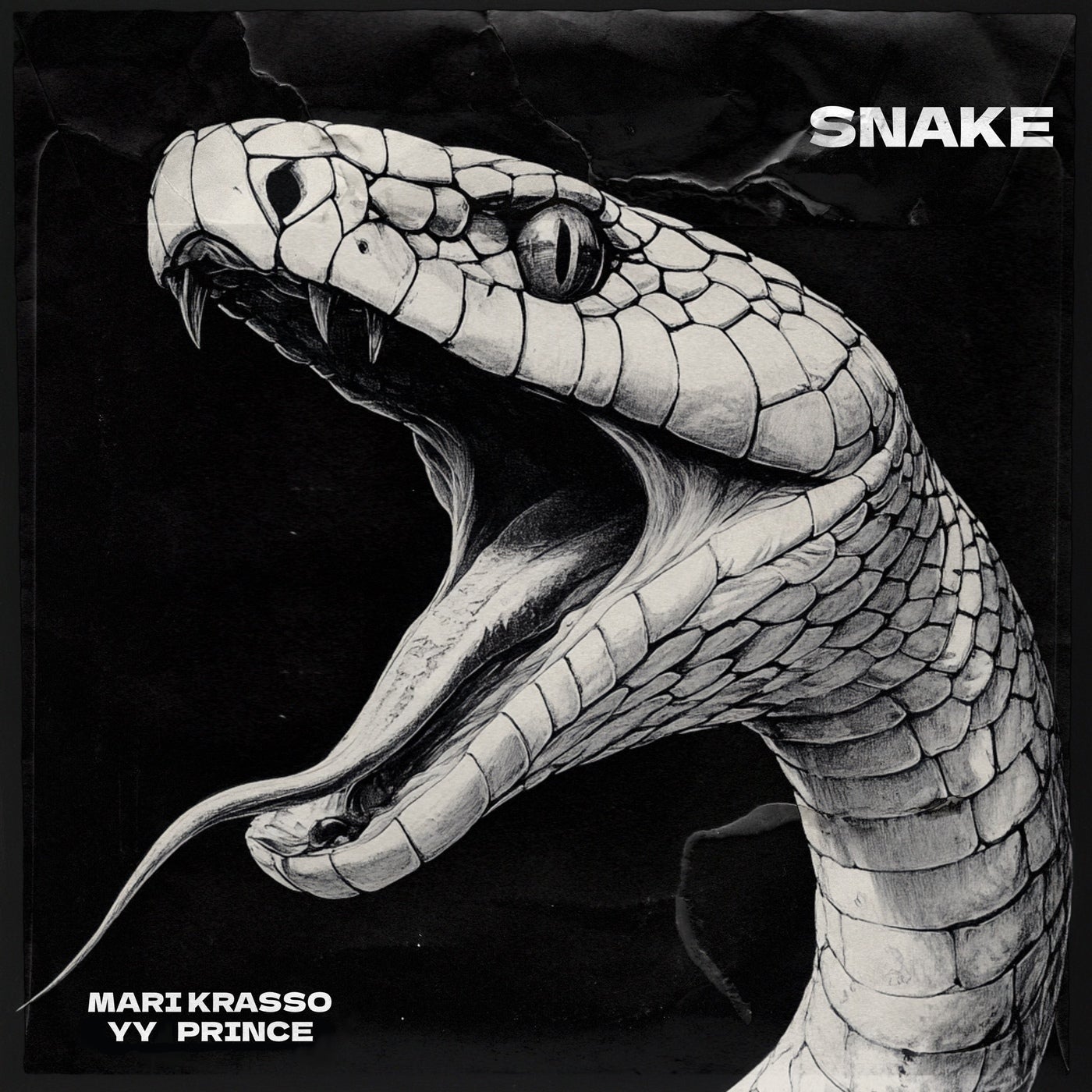 SNAKE
