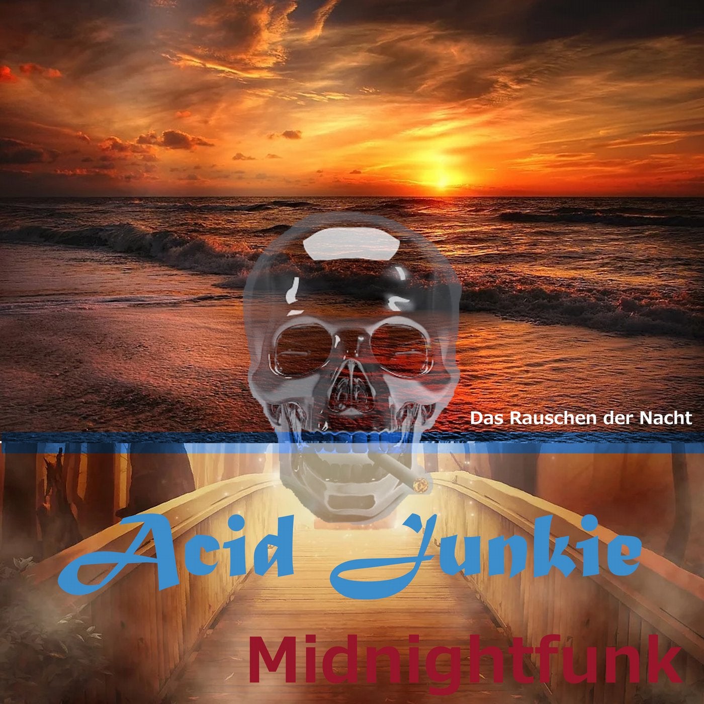 Acid Junkie