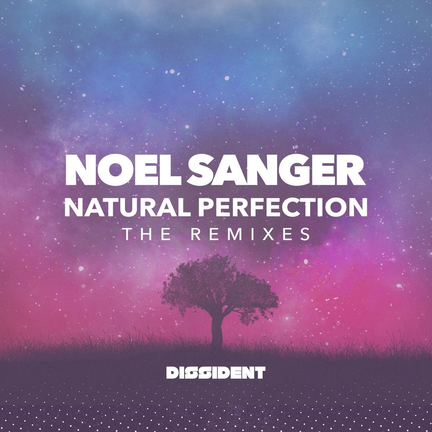 Natural Pefection (The Remixes)
