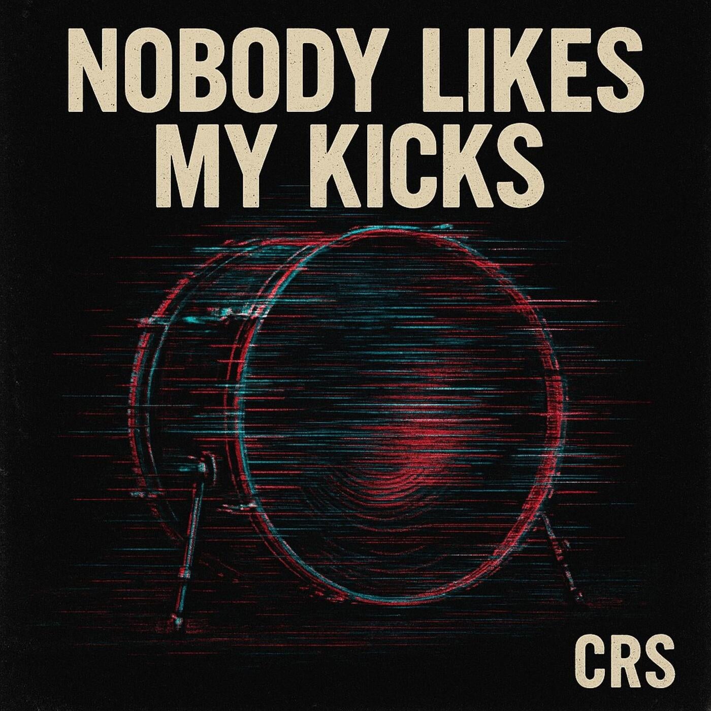 Nobody Likes My Kicks