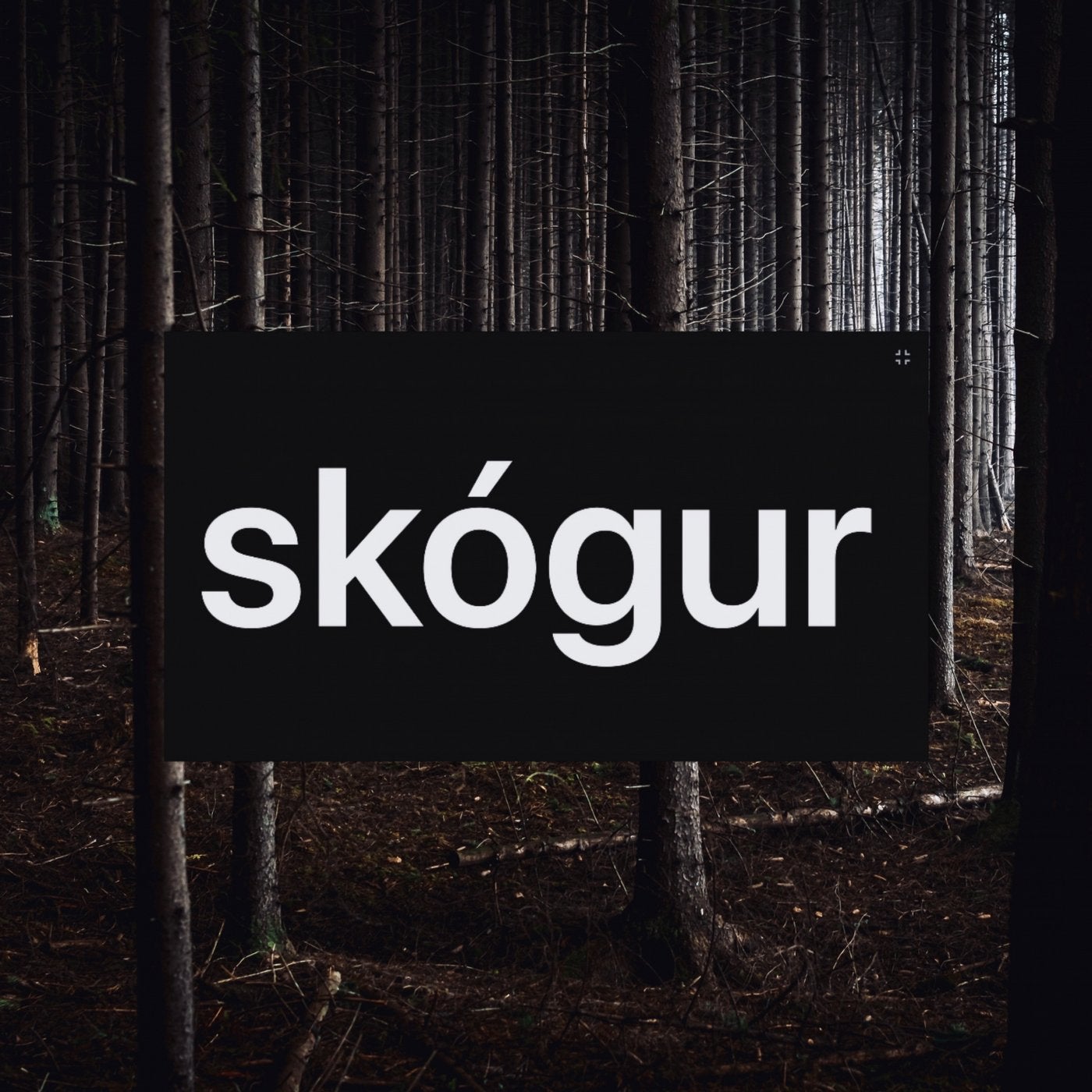 Skógur