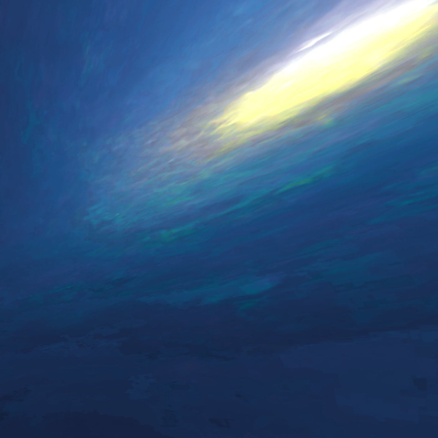 Under the Starry Ceiling