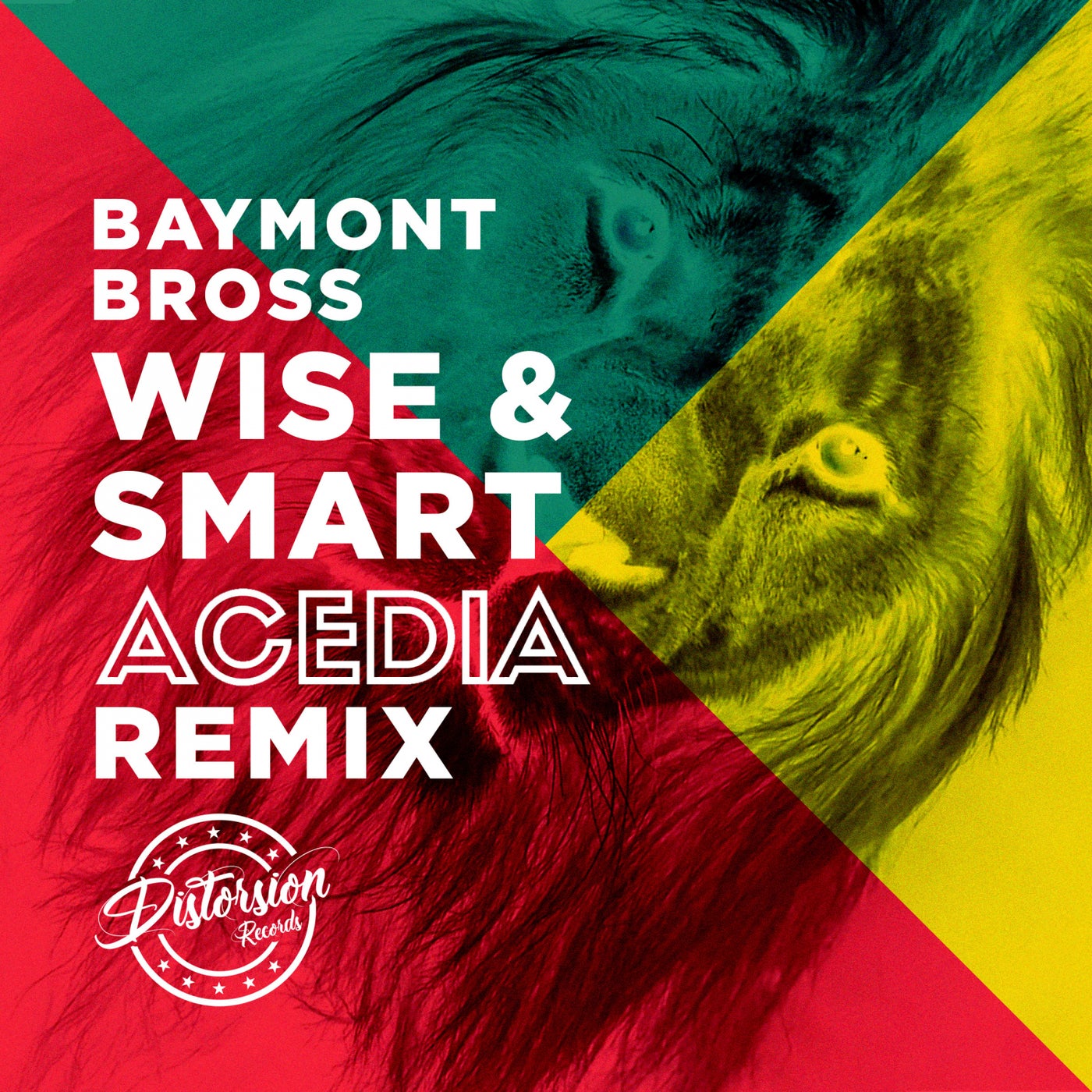 Wise & Smart (ACEDIA Remix)