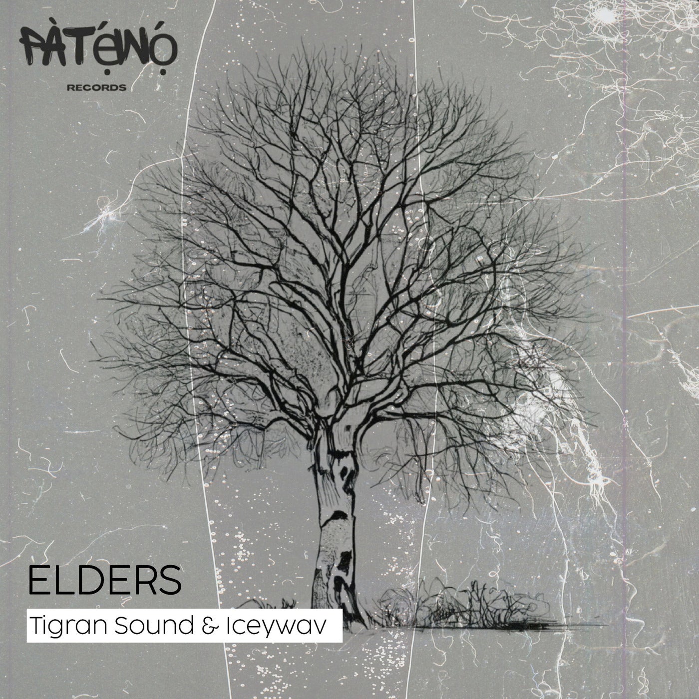 Elders