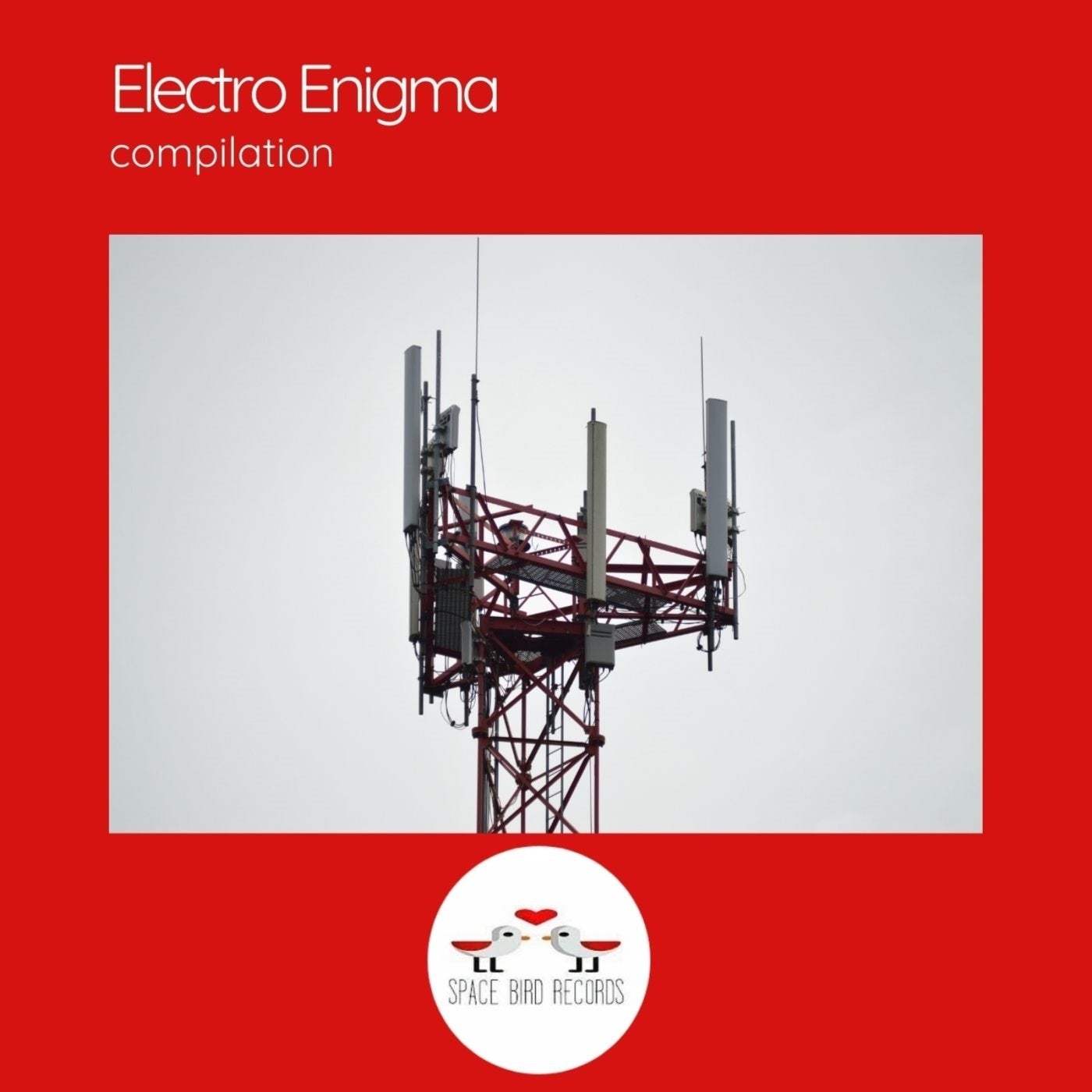 Electro Enigma