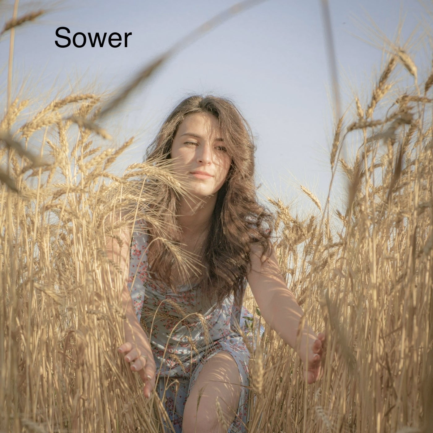 Sower