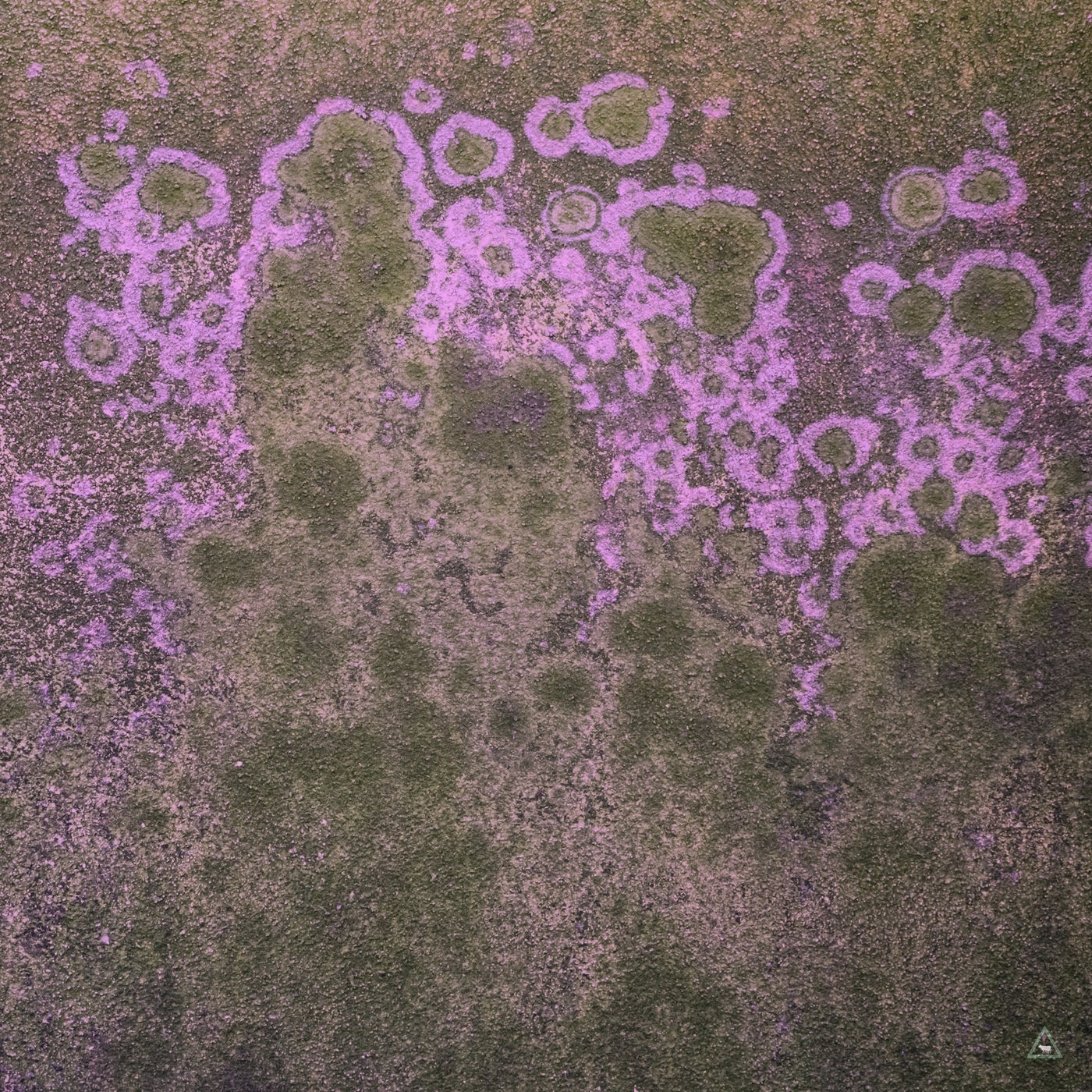 Fractal Echoes