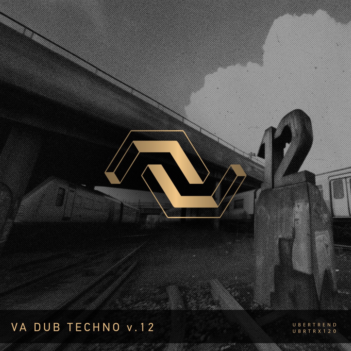 V.A. Dub Techno V.12