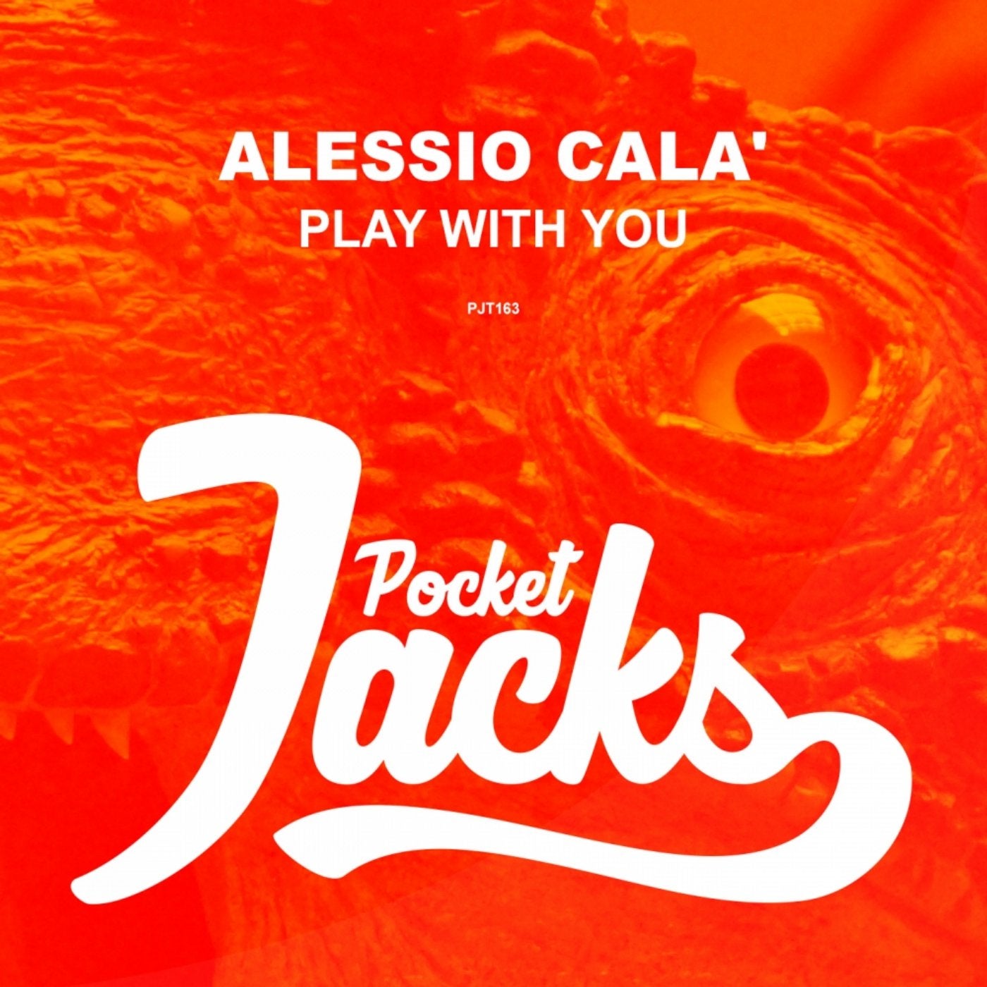 Play With You