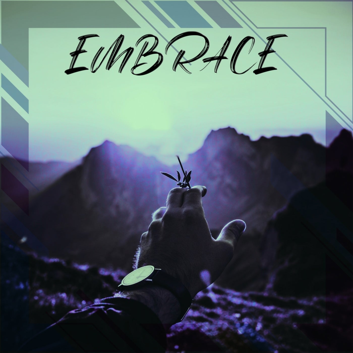 Embrace