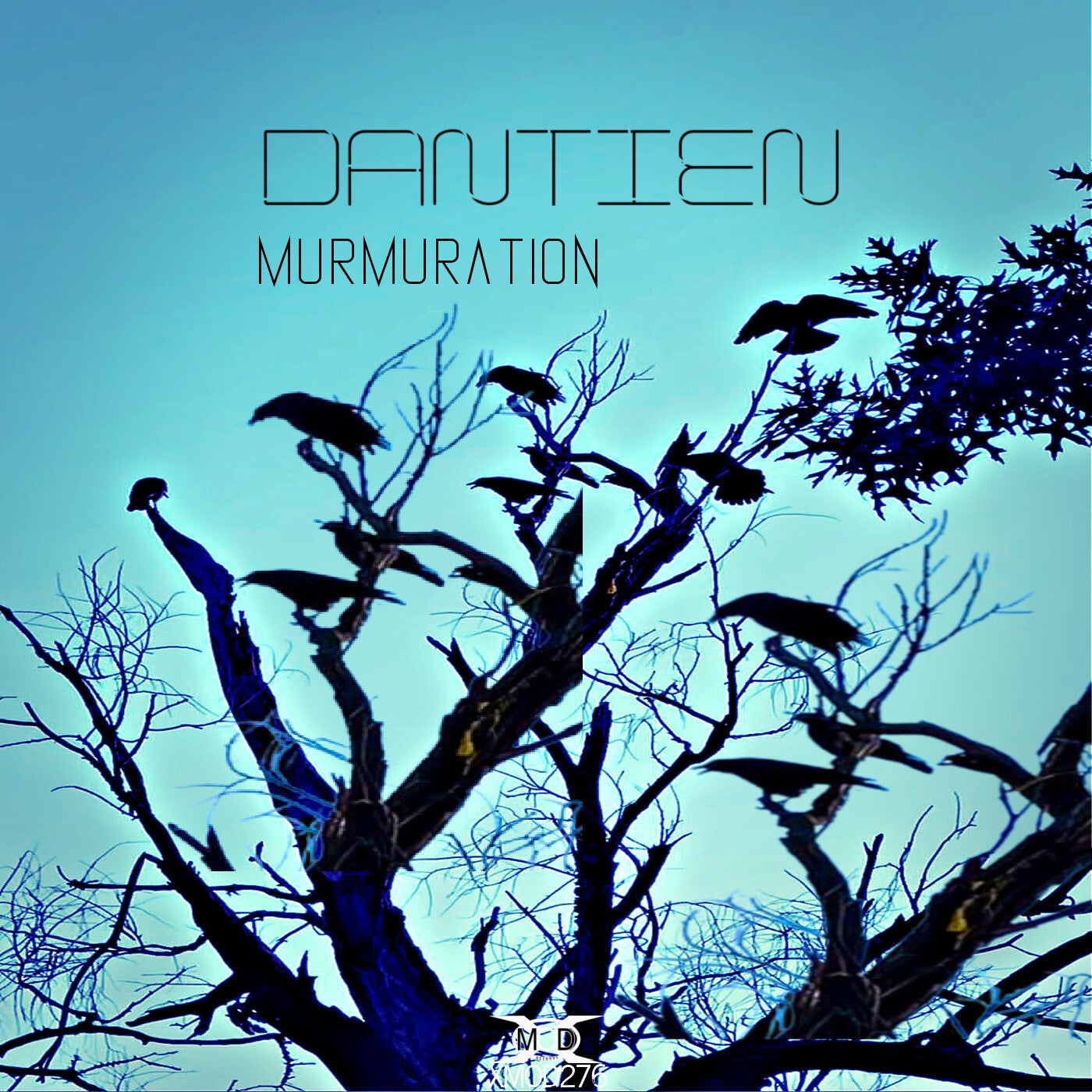 Murmuration