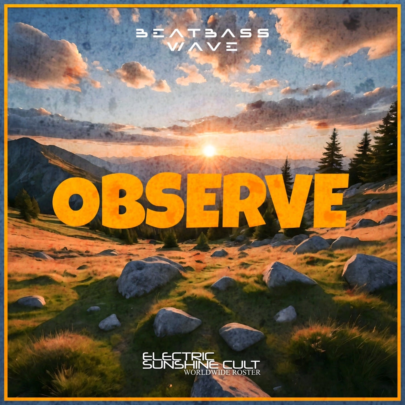 OBSERVE