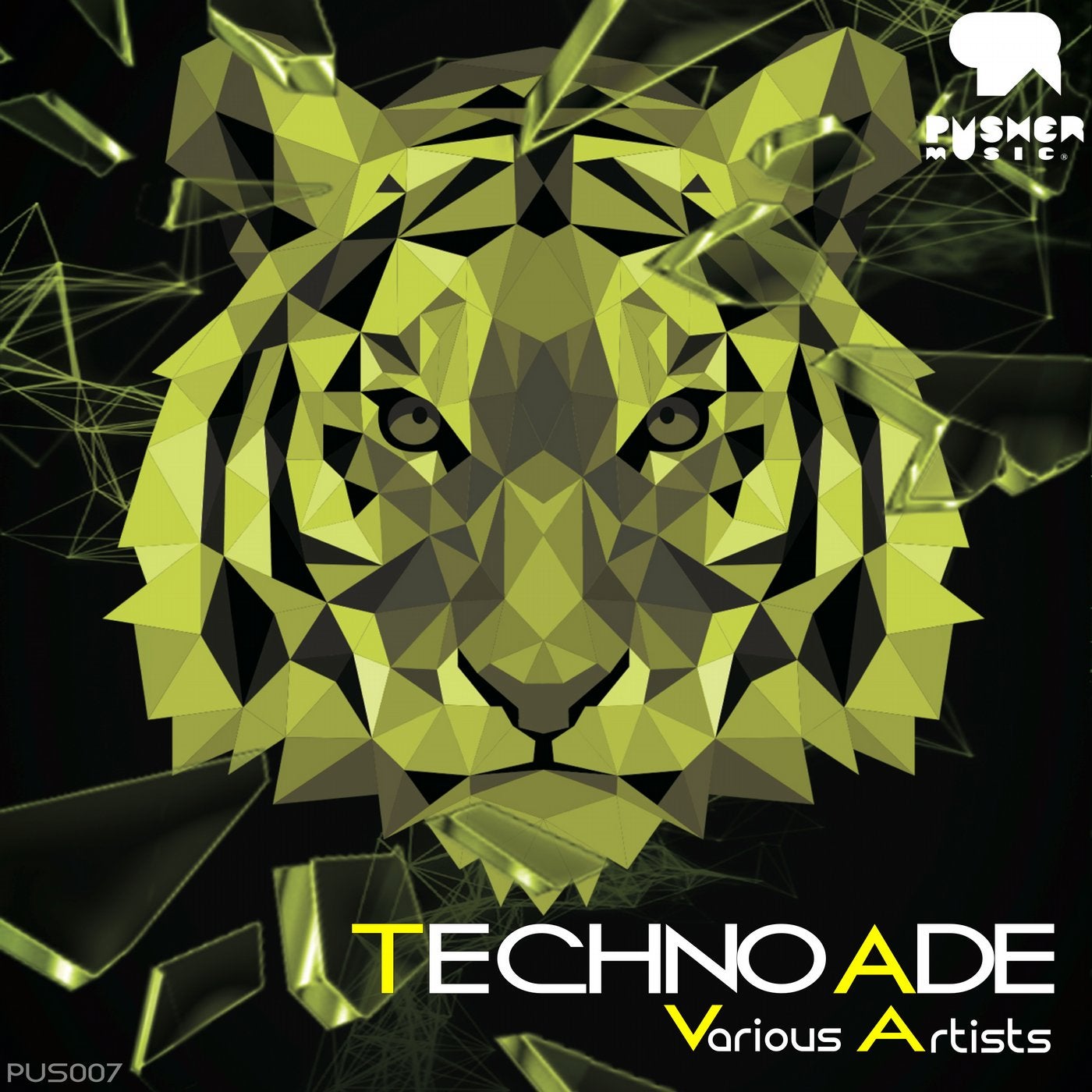 Techno ADE 2015