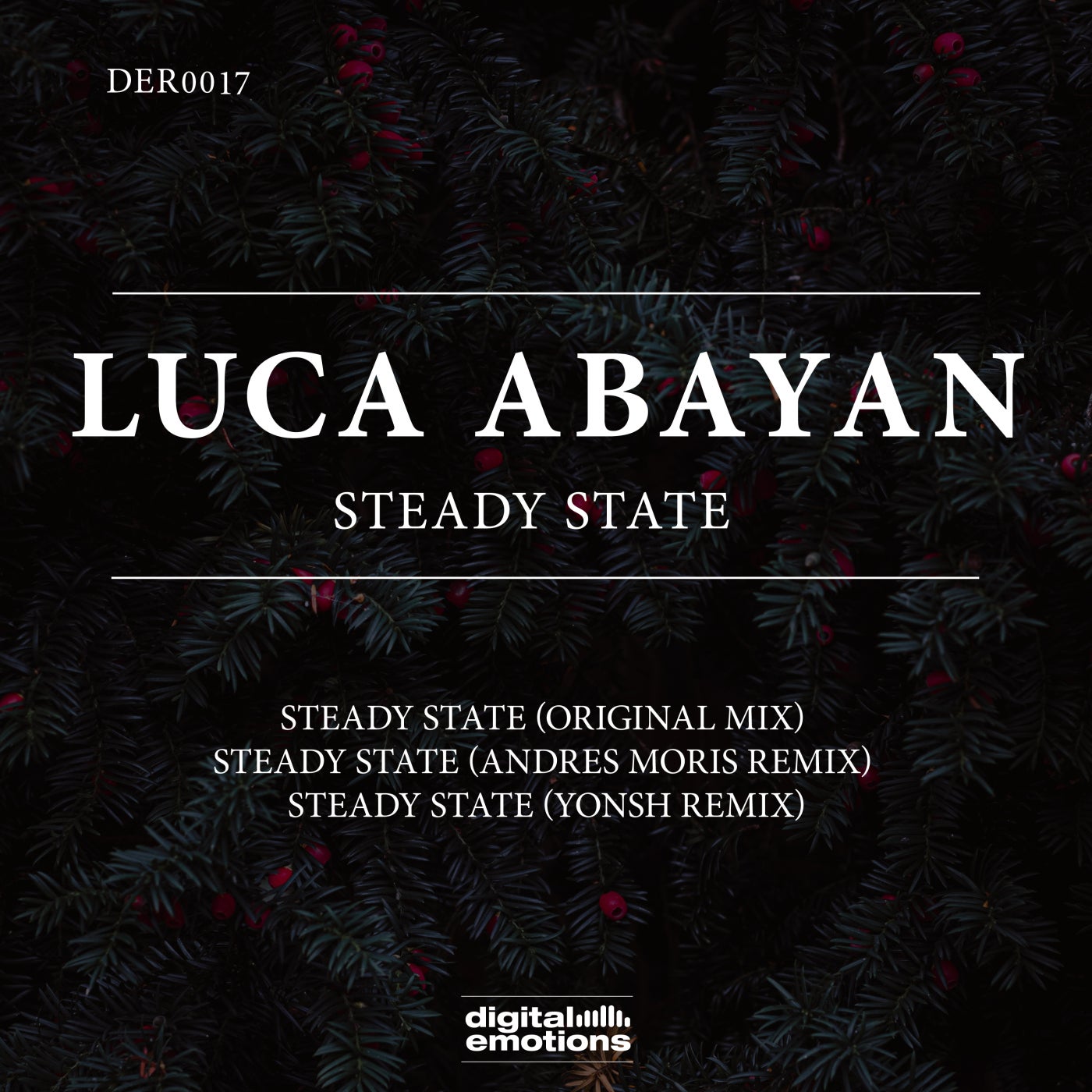 Steady State