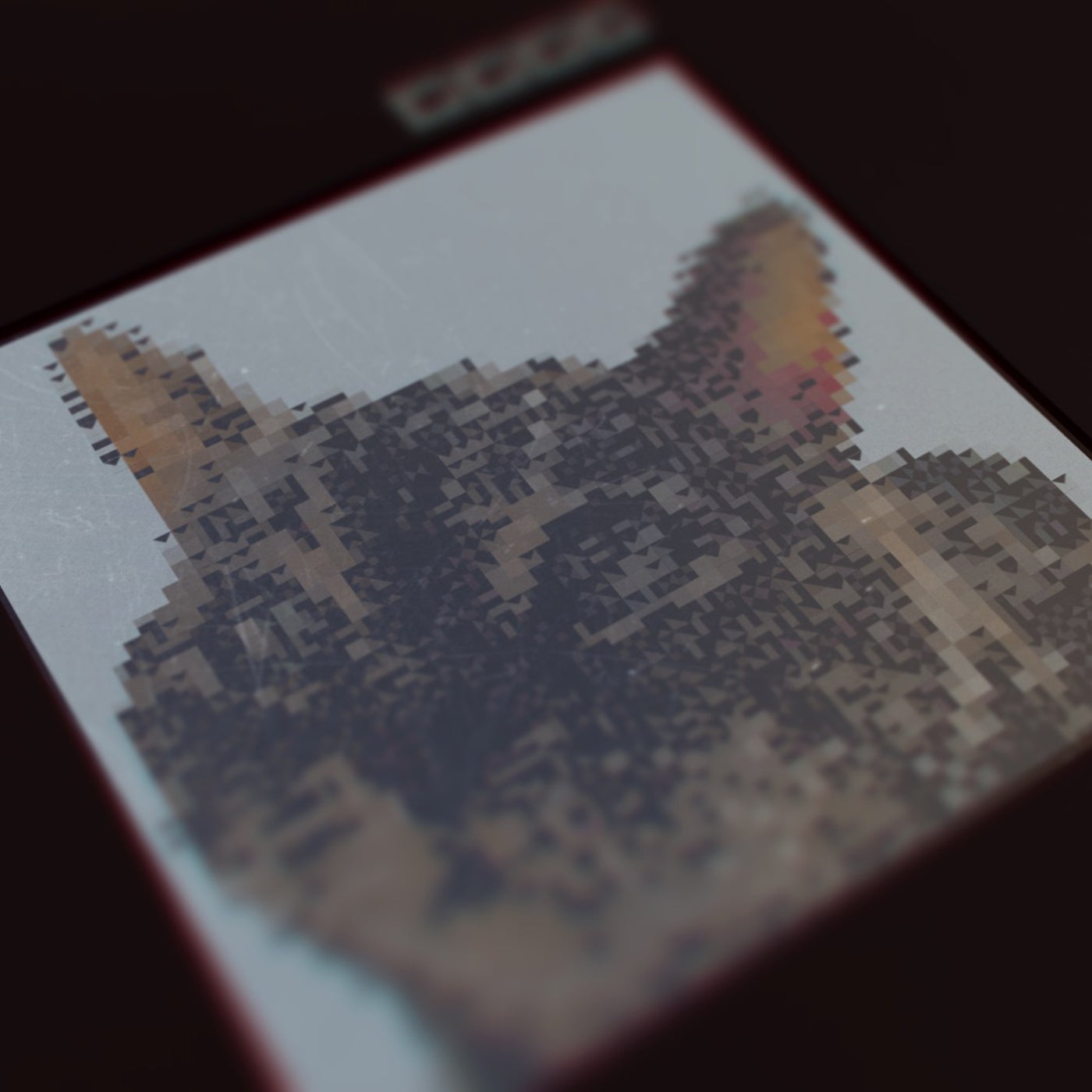 LIVE PROJECT
