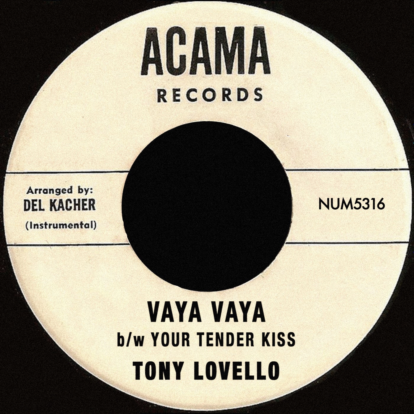 Vaya Vaya b/w Your Tender Kiss