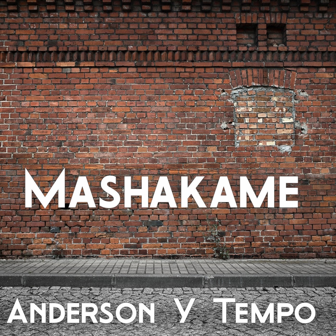 Mashakame