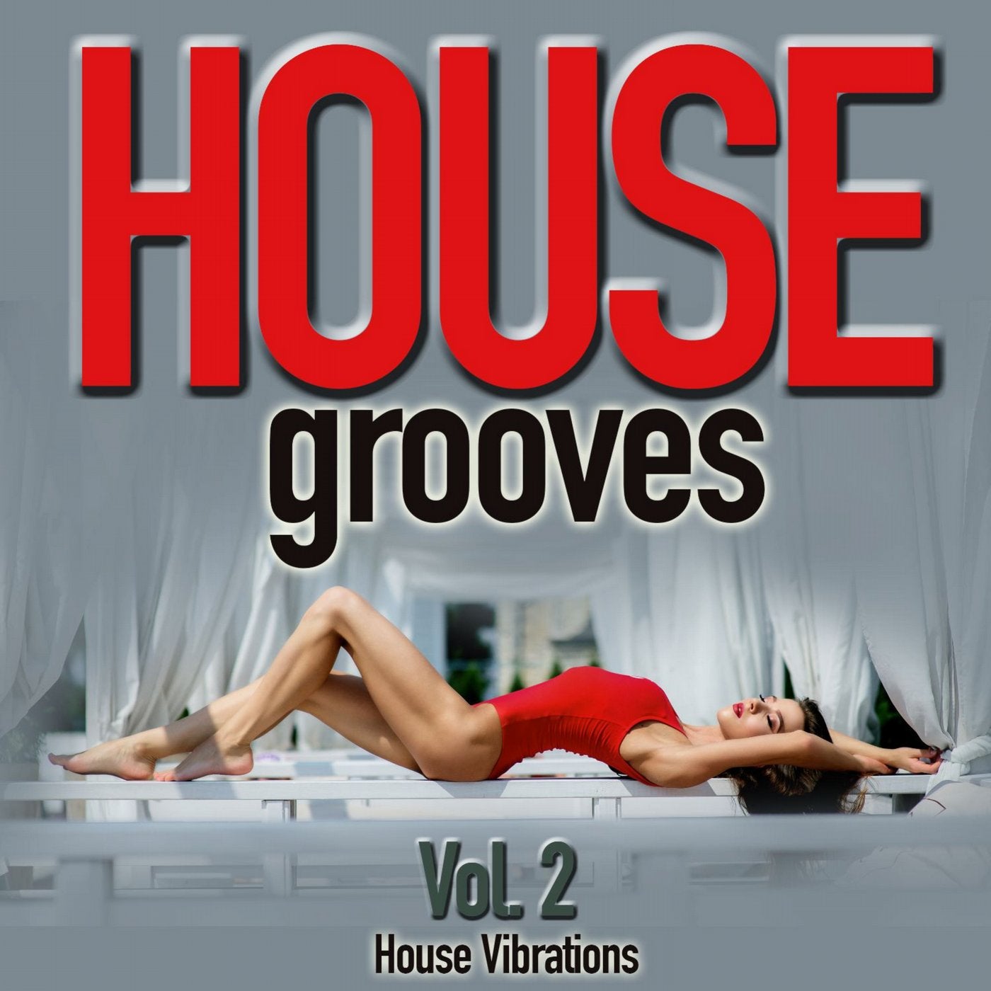 House Grooves, Vol. 2 (House Vibrations)