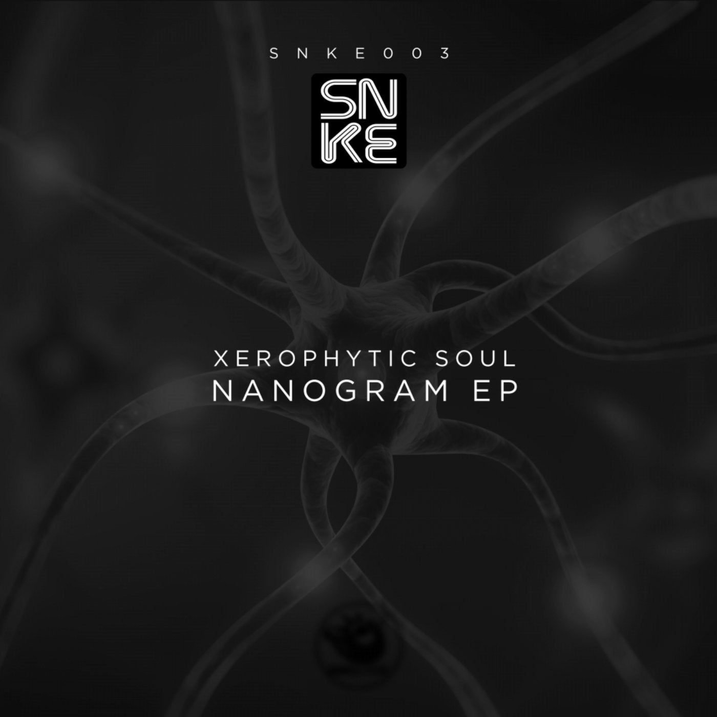 Nanogram Ep