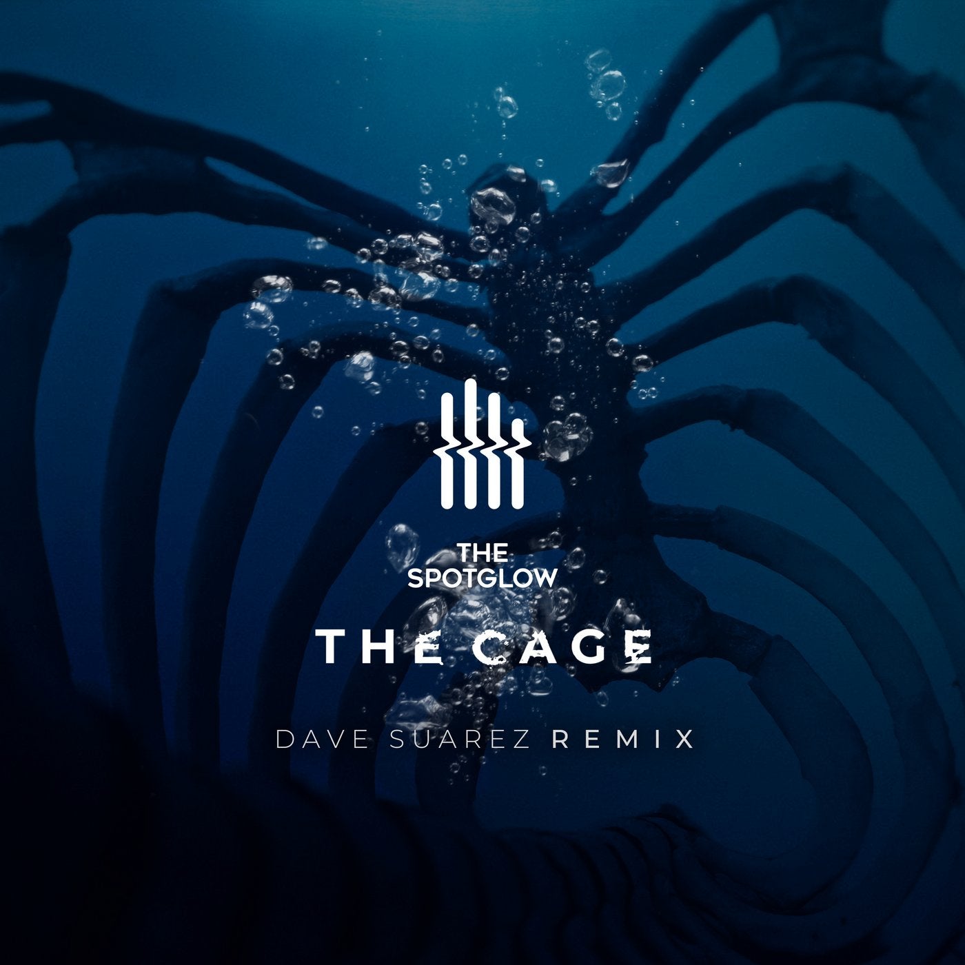 The Cage (The Remix)