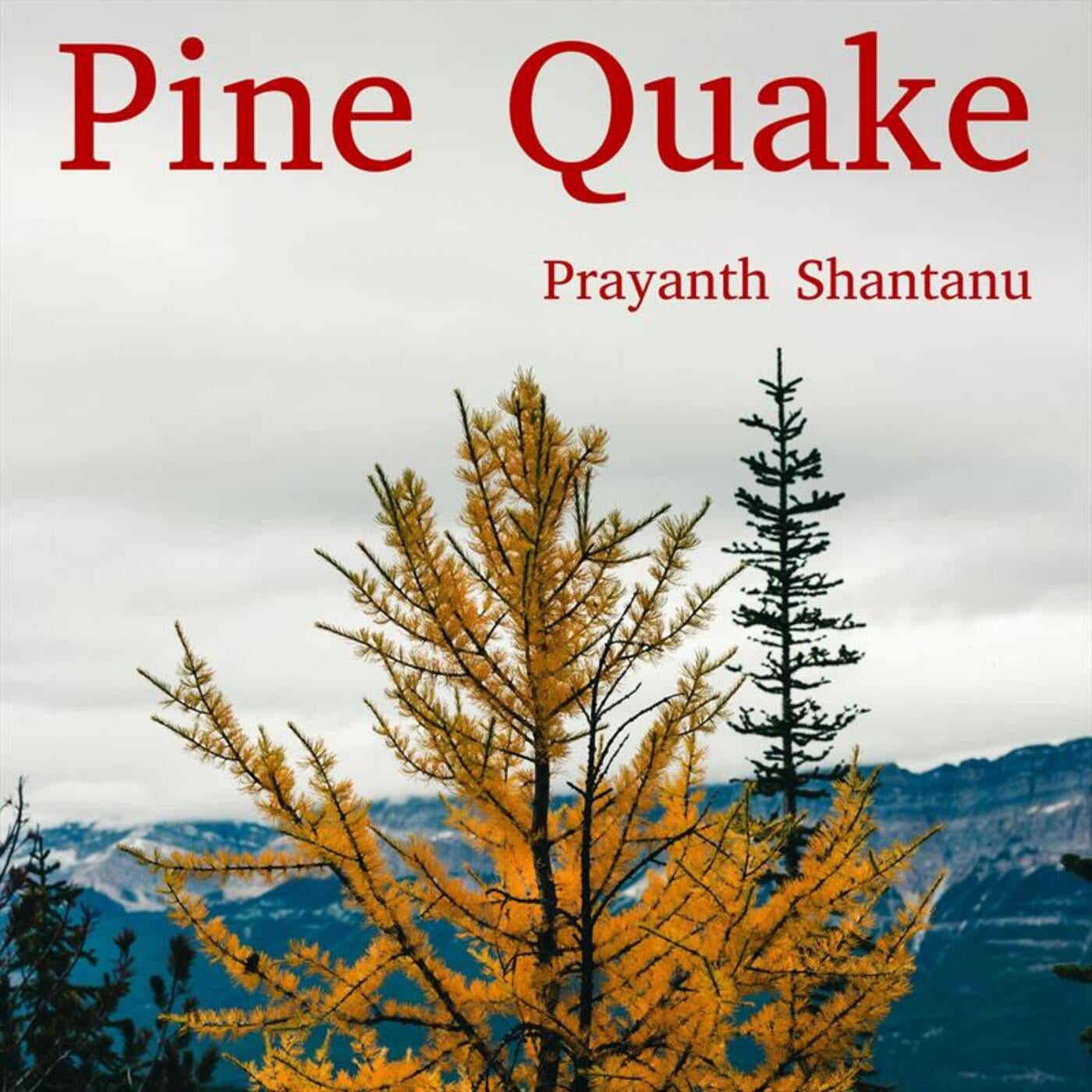 Pine Quake