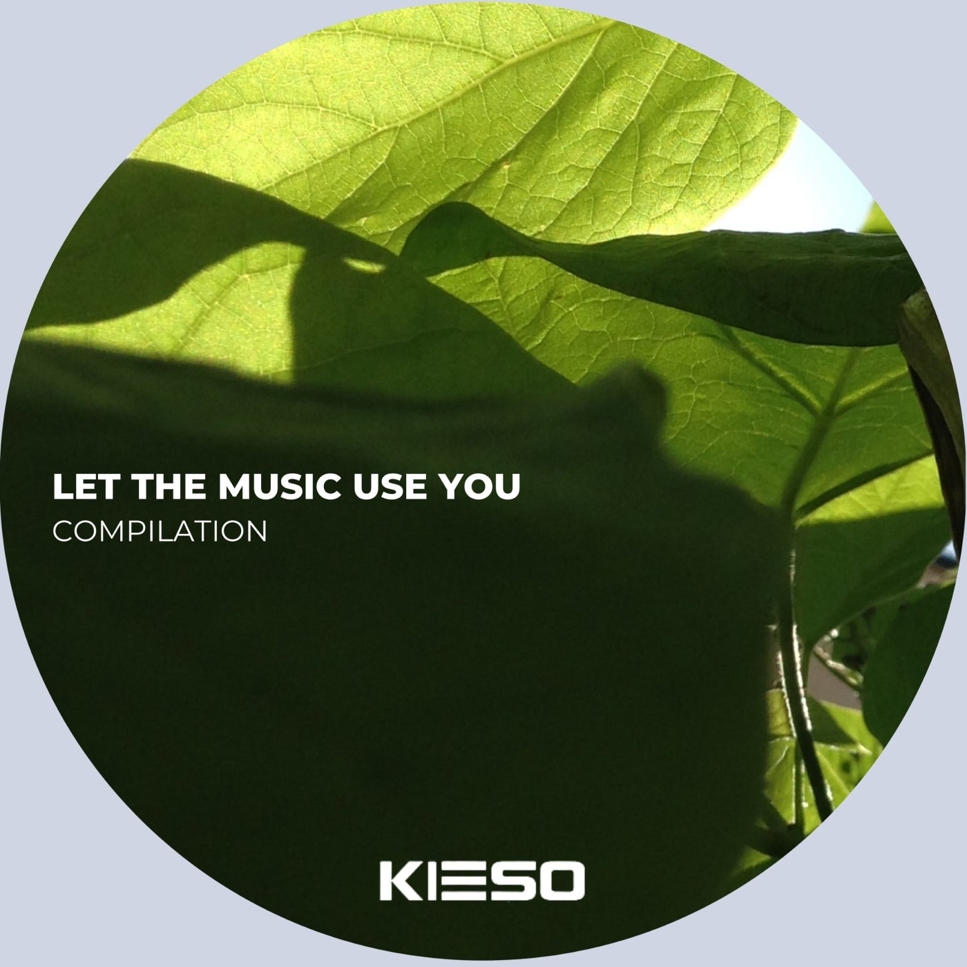 Let the Music Use You