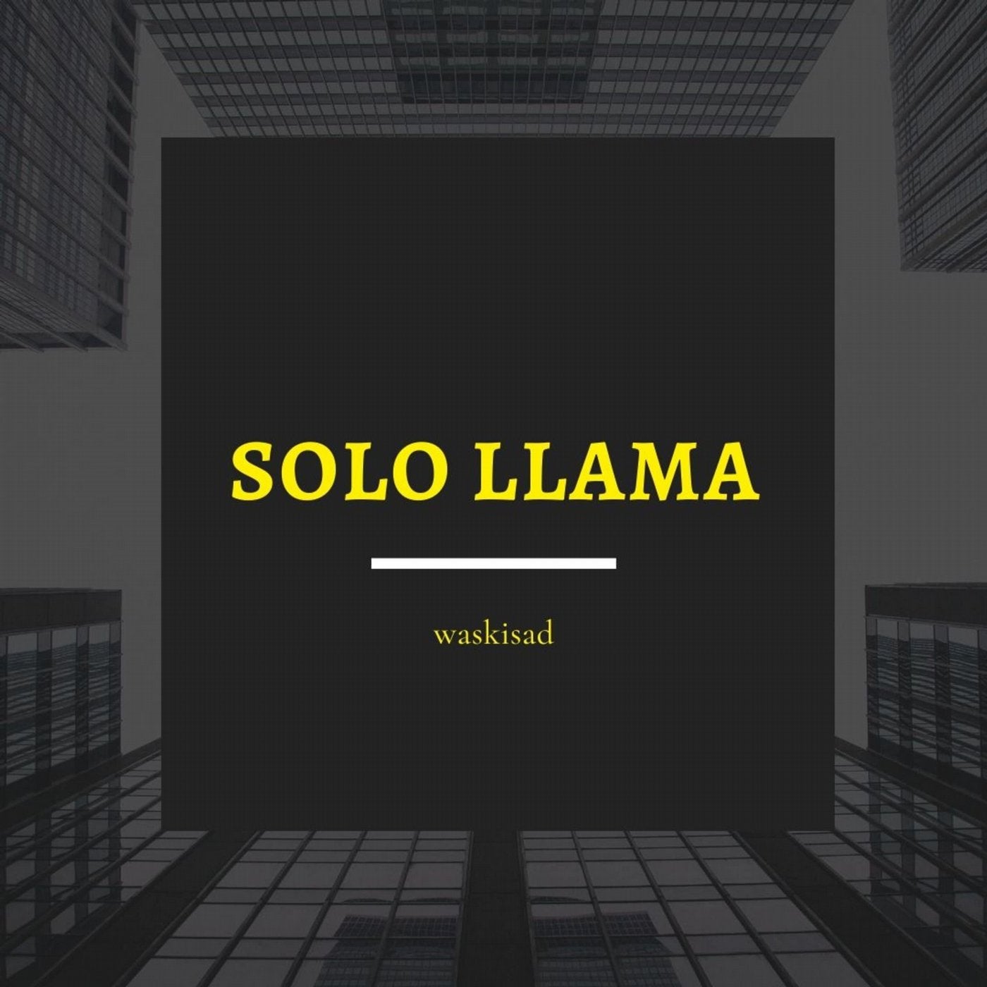 Solo Llama