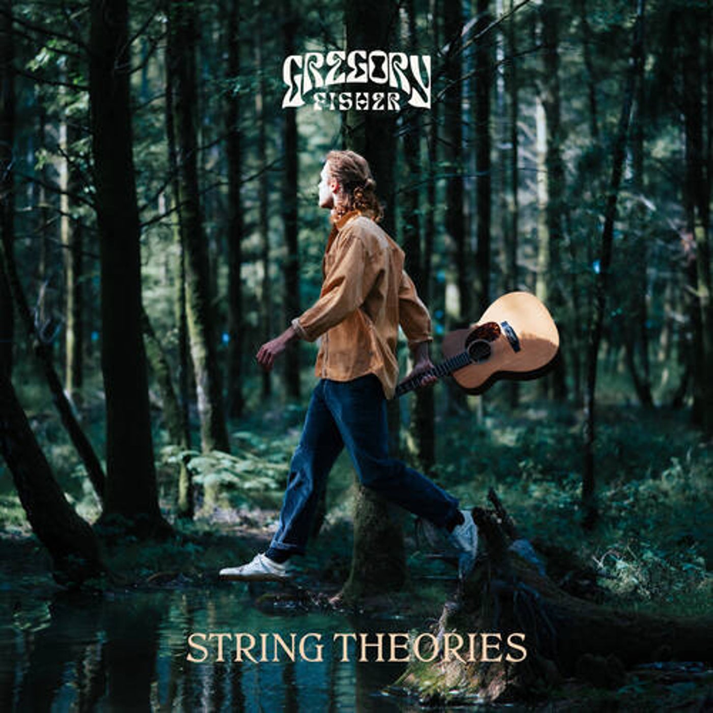 String Theories