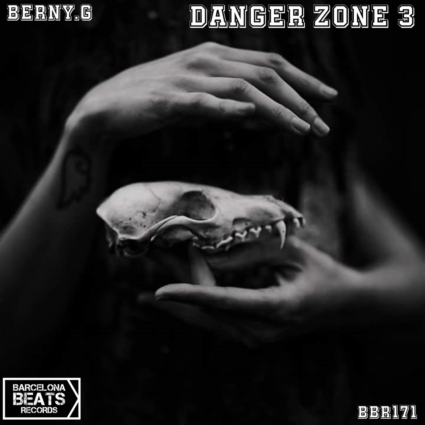 DANGER ZONE 3