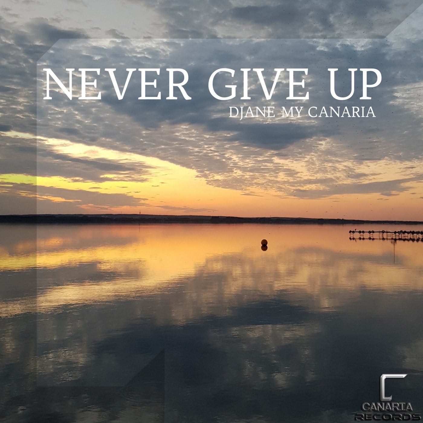 Never Give Up