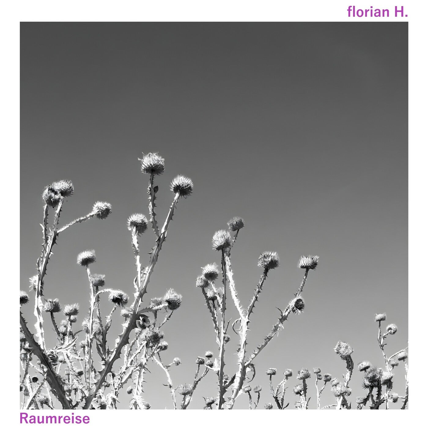 Raumreise