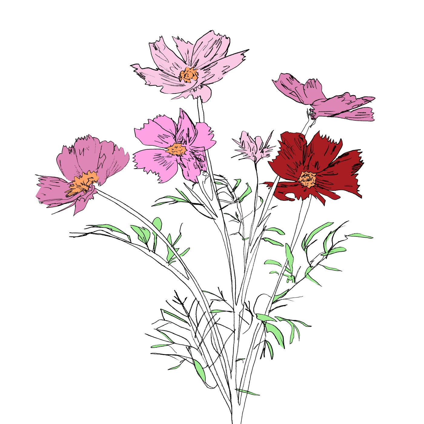 Music to Watch Seeds Grow By 004: E Ruscha V (Cosmos)