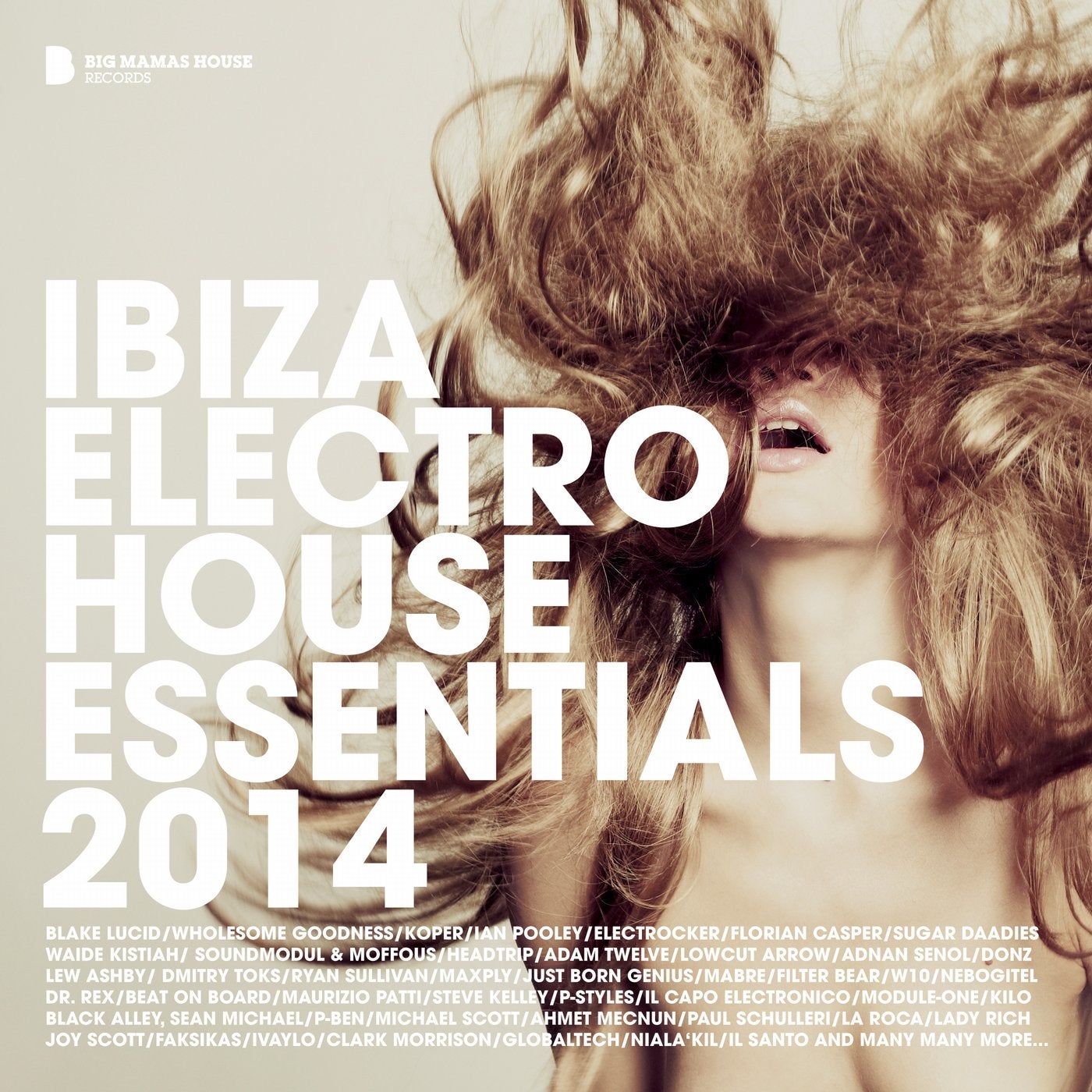 Ibiza Electro House Essentials 2014 (Deluxe Version)