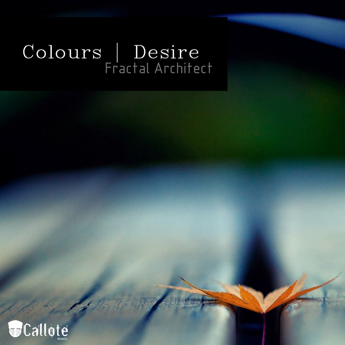 Colours | Desire