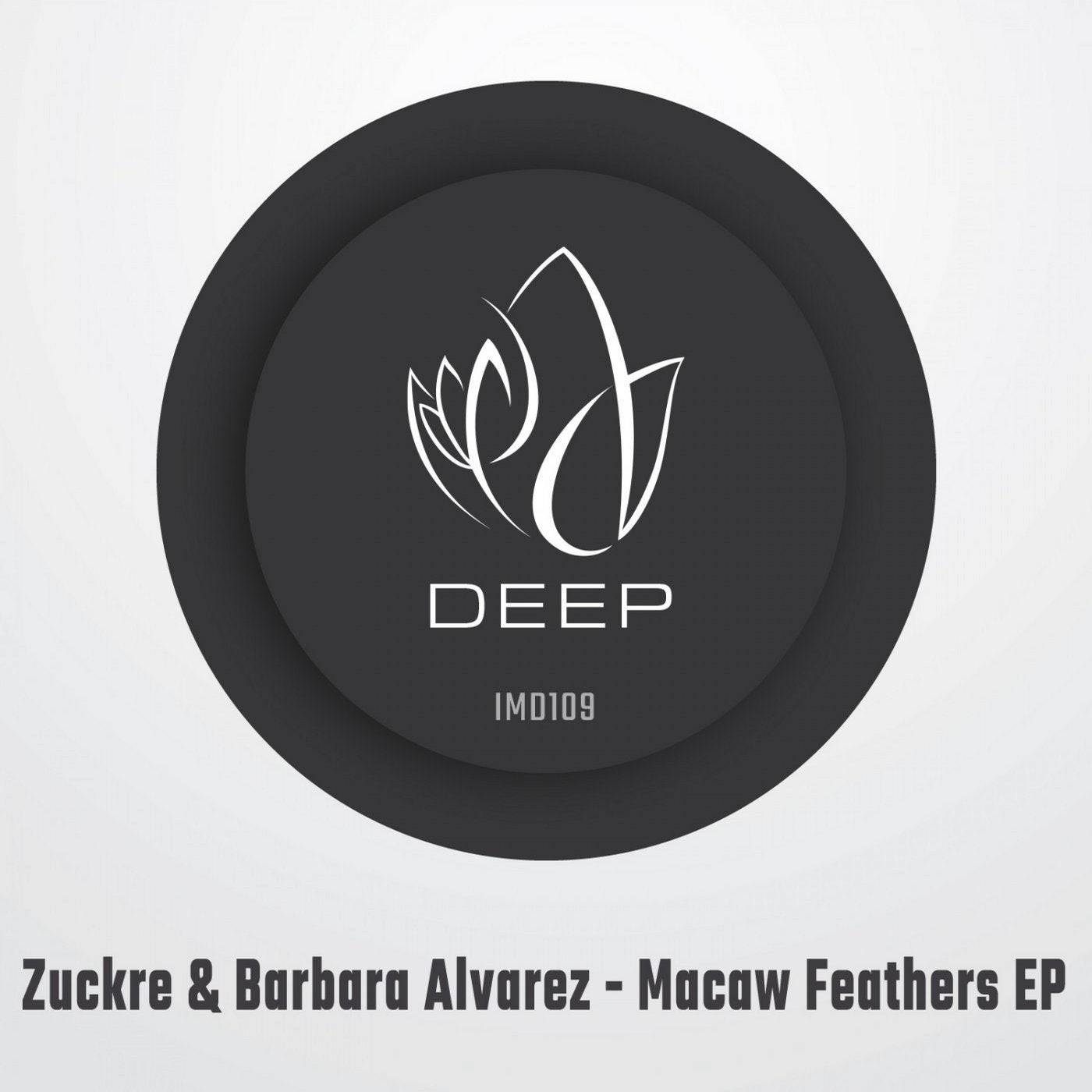Macaw Feathers EP