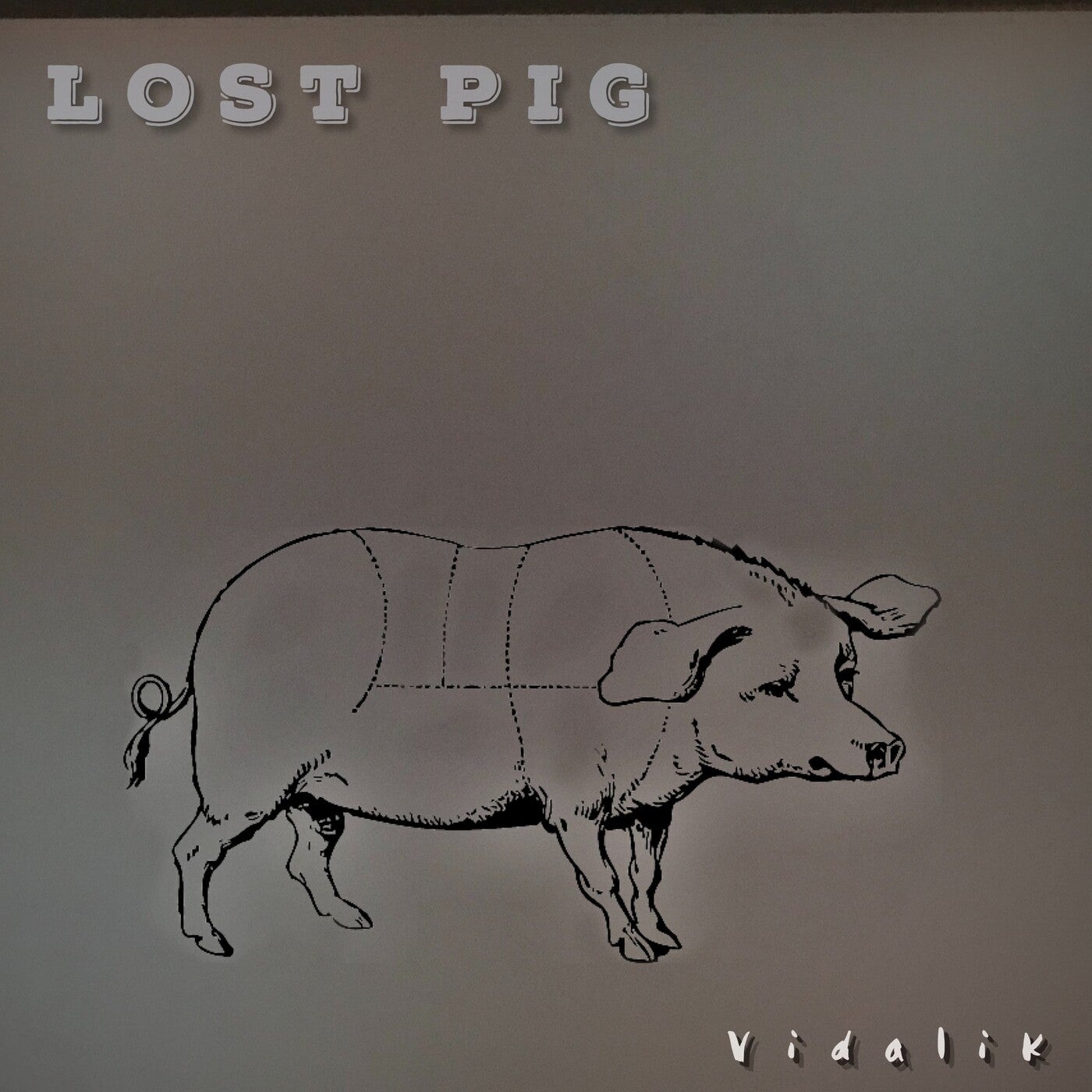 Lost Pig