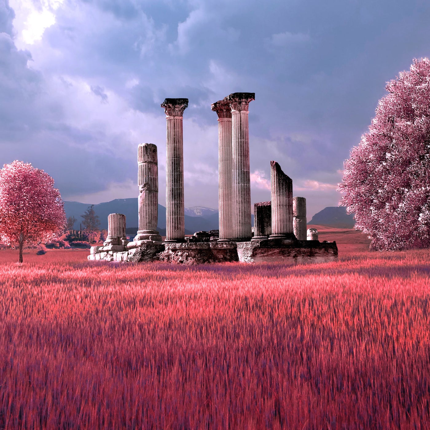 Infrared Dreams
