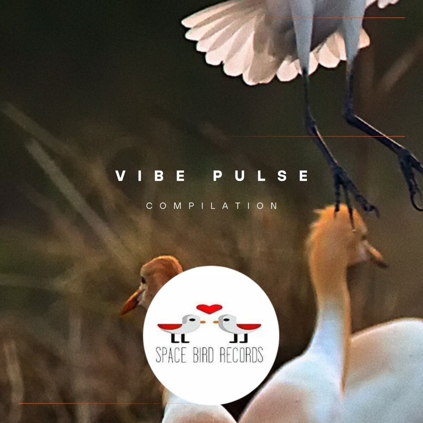 Vibe Pulse
