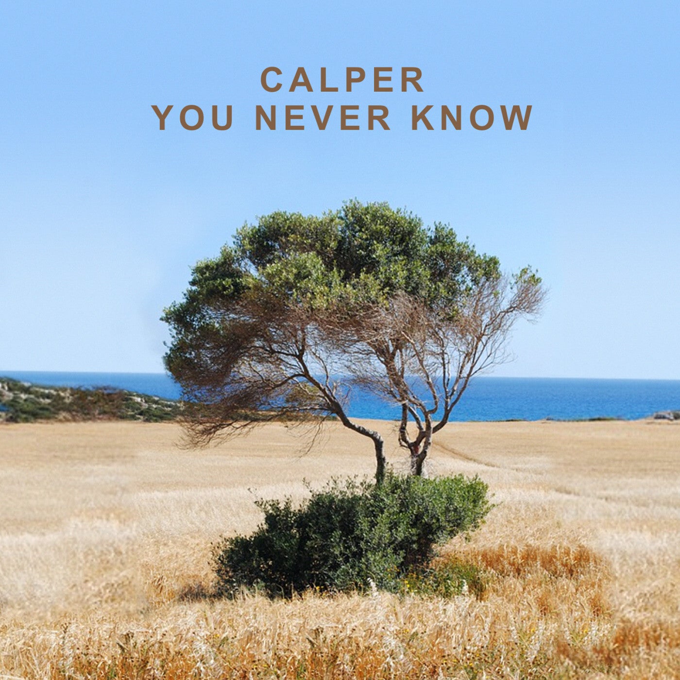 You Never Know (Simon Field Remix) [Extended Edit]