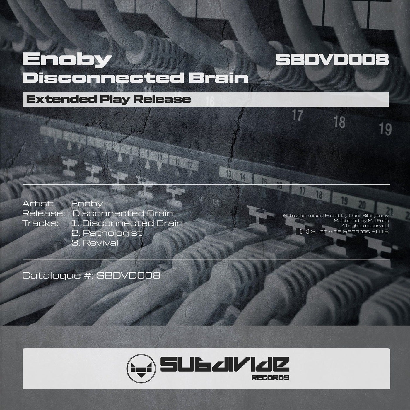 Disconnected Brain